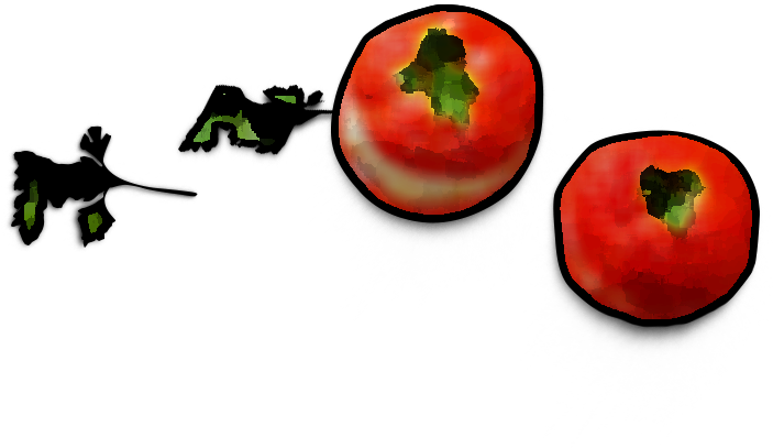 slider-1-slide-3-top.png
